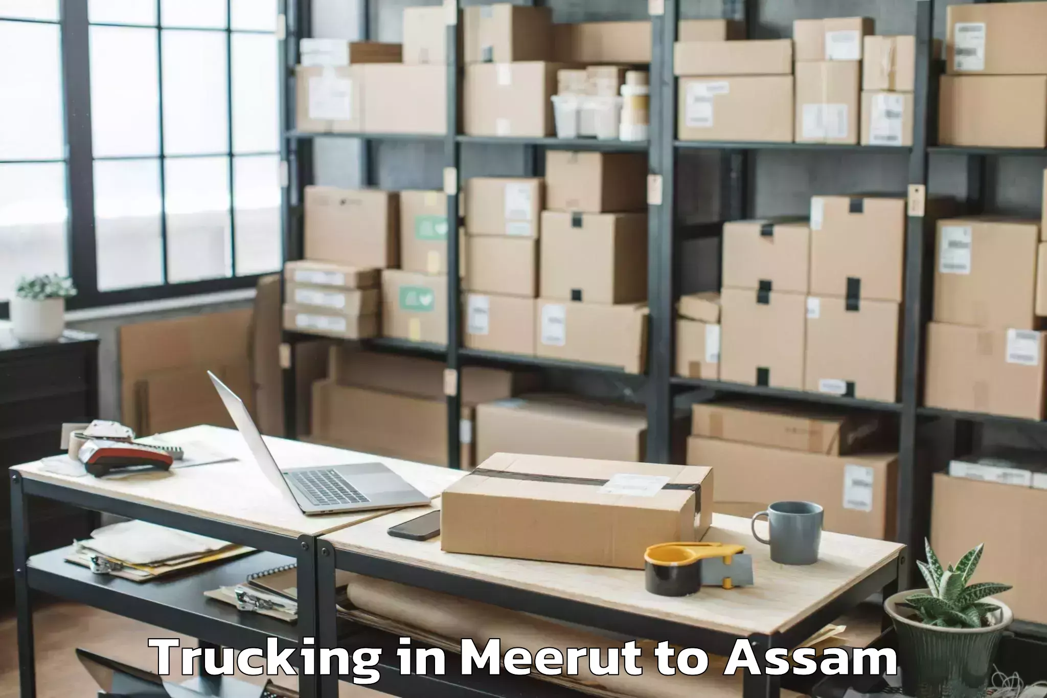 Hassle-Free Meerut to Gohpur Trucking